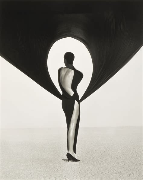 versace herb ritts|Versace Dress, Back View, El Mirage, 1990 by Herb .